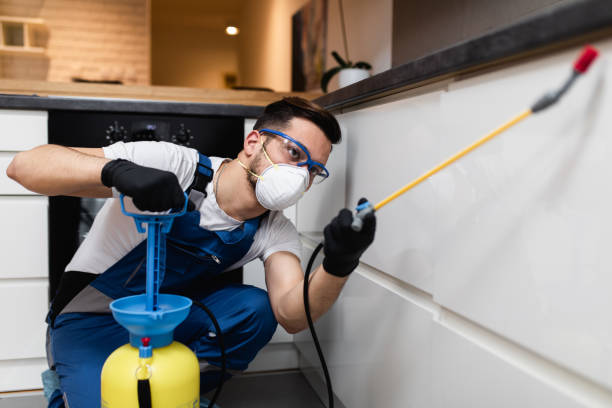 Best Cockroach Control Services  in Bartonsville, MD