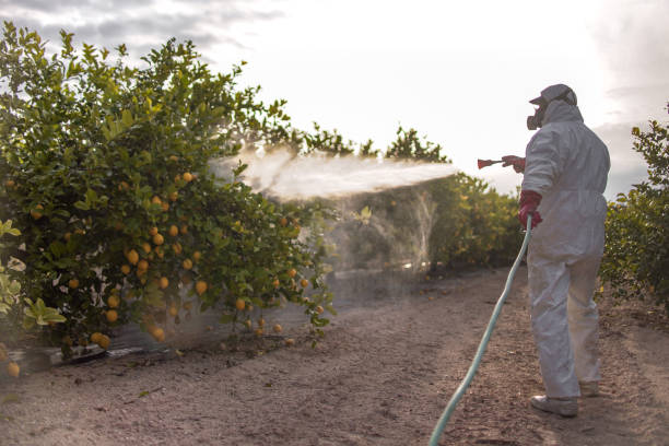 Best Pest Removal Services  in Bartonsville, MD